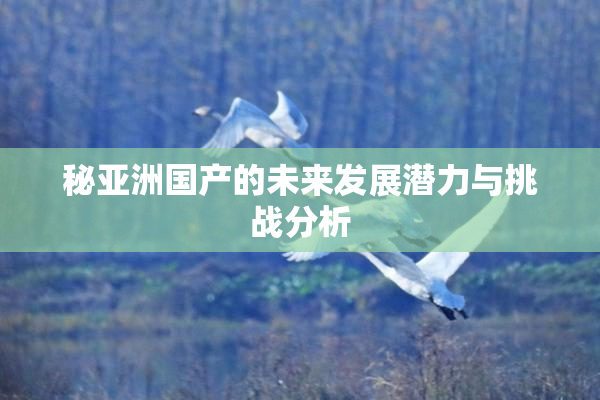 秘亚洲国产的未来发展潜力与挑战分析
