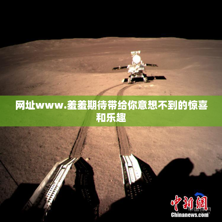 网址www.羞羞期待带给你意想不到的惊喜和乐趣