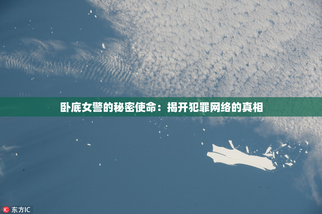 卧底女警的秘密使命：揭开犯罪网络的真相