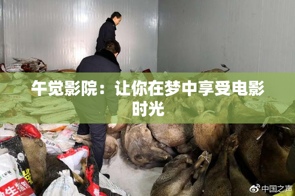 午觉影院：让你在梦中享受电影时光