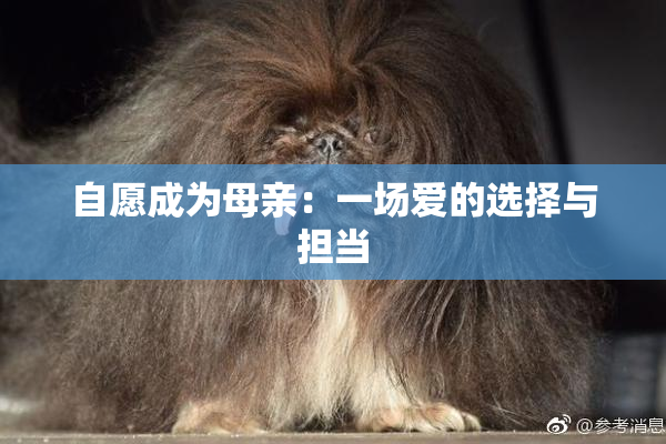自愿成为母亲：一场爱的选择与担当