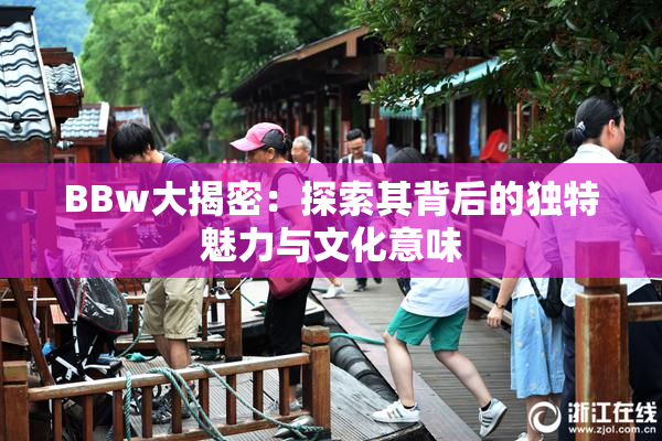 BBw大揭密：探索其背后的独特魅力与文化意味