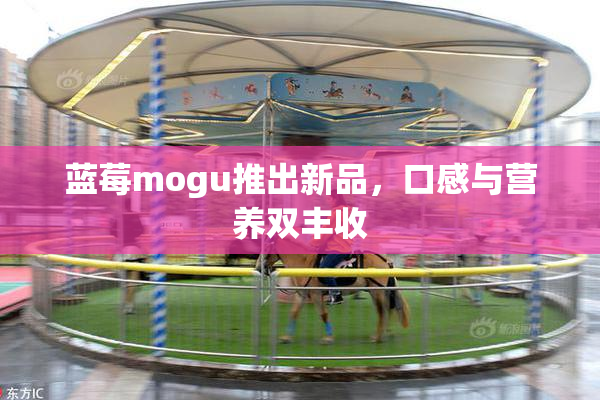 蓝莓mogu推出新品，口感与营养双丰收