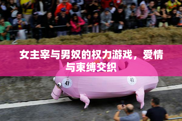 女主宰与男奴的权力游戏，爱情与束缚交织
