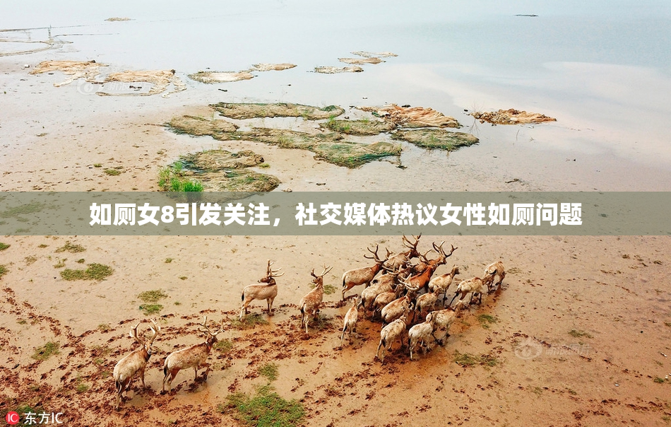 如厕女8引发关注，社交媒体热议女性如厕问题