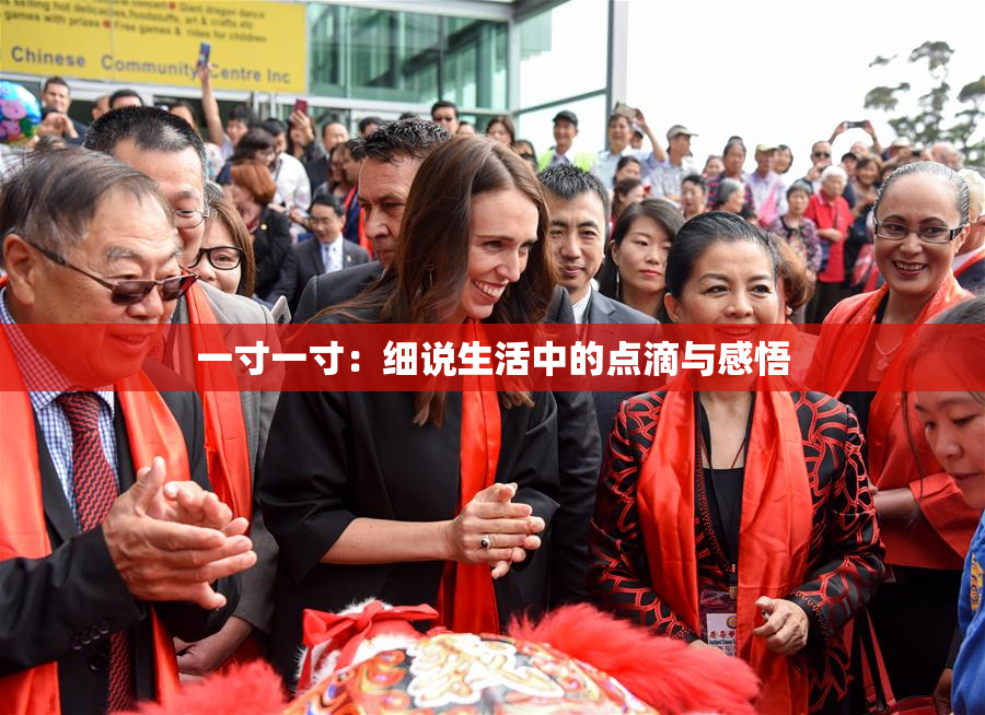 一寸一寸：细说生活中的点滴与感悟