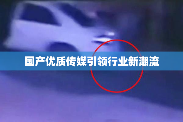 国产优质传媒引领行业新潮流
