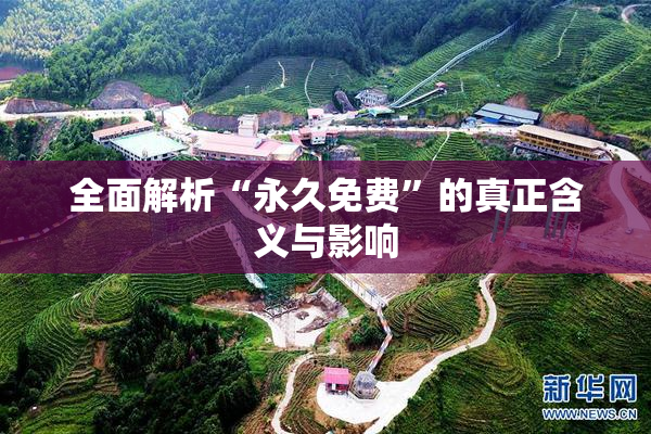 全面解析“永久免费”的真正含义与影响
