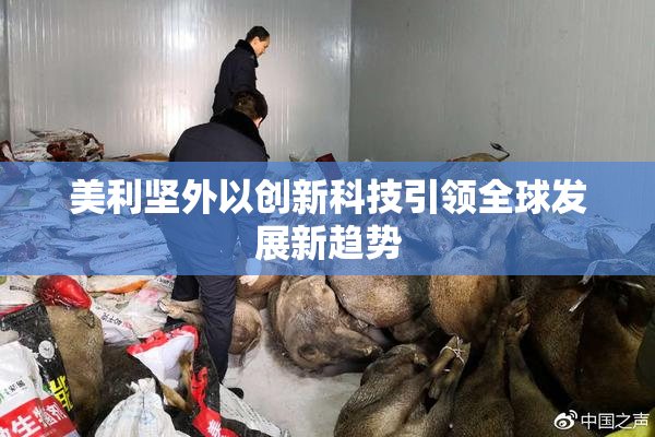美利坚外以创新科技引领全球发展新趋势