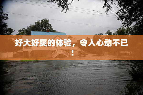 好大好爽的体验，令人心动不已！