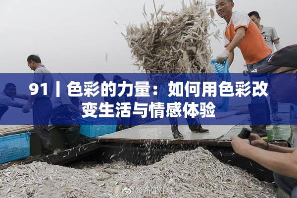 91丨色彩的力量：如何用色彩改变生活与情感体验