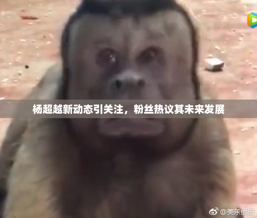 杨超越新动态引关注，粉丝热议其未来发展