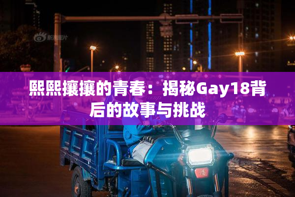 熙熙攘攘的青春：揭秘Gay18背后的故事与挑战