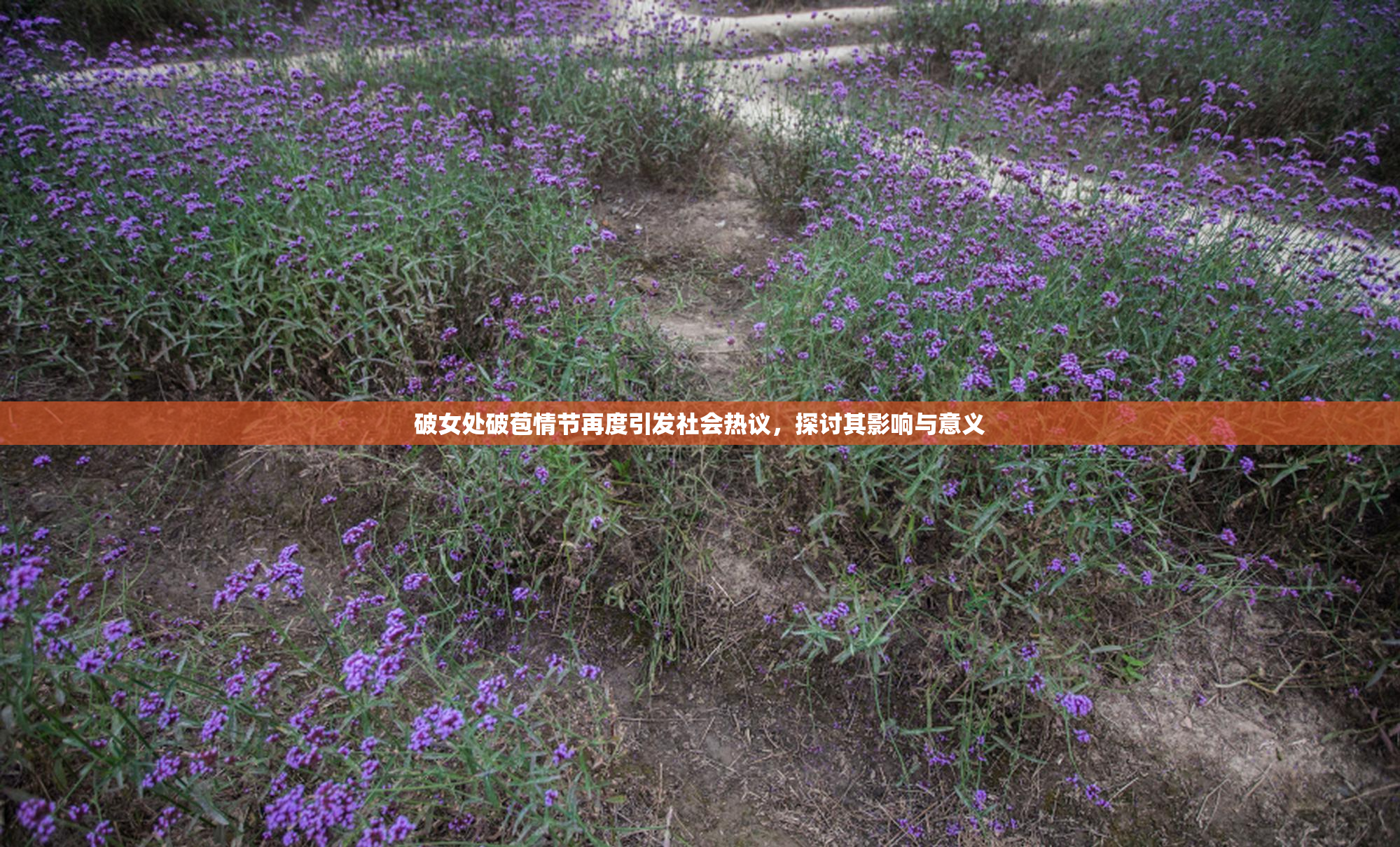 破女处破苞情节再度引发社会热议，探讨其影响与意义