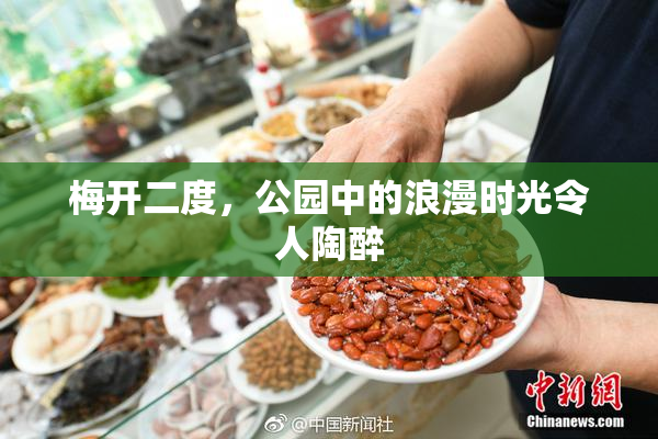 梅开二度，公园中的浪漫时光令人陶醉