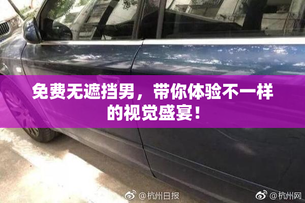 免费无遮挡男，带你体验不一样的视觉盛宴！