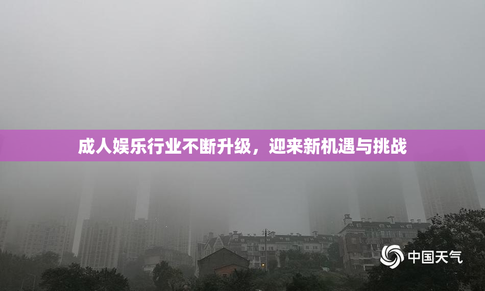 成人娱乐行业不断升级，迎来新机遇与挑战