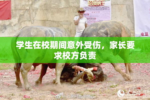 学生在校期间意外受伤，家长要求校方负责