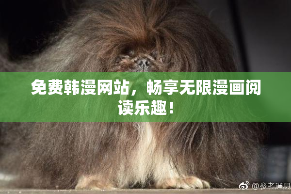 免费韩漫网站，畅享无限漫画阅读乐趣！