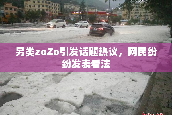 另类zoZo引发话题热议，网民纷纷发表看法