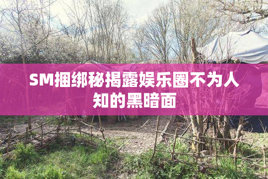 SM捆绑秘揭露娱乐圈不为人知的黑暗面