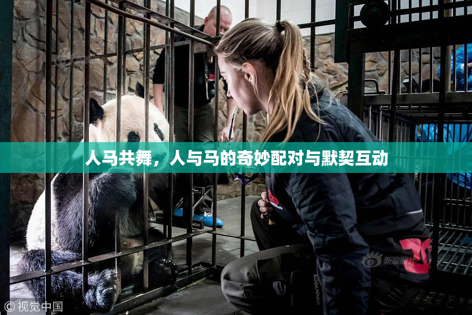 人马共舞，人与马的奇妙配对与默契互动