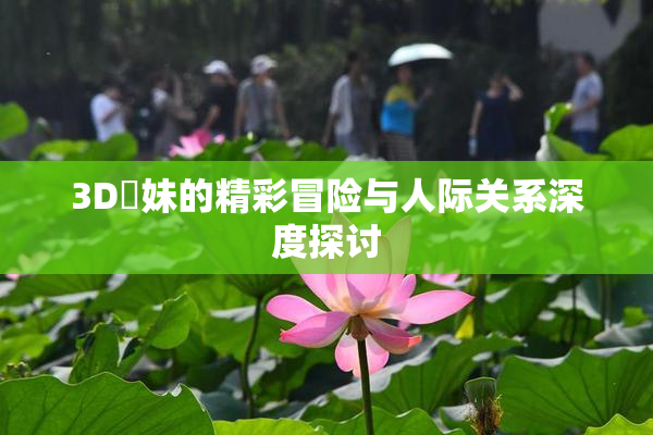 3D姉妹的精彩冒险与人际关系深度探讨