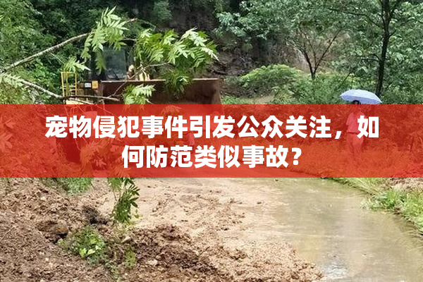 宠物侵犯事件引发公众关注，如何防范类似事故？