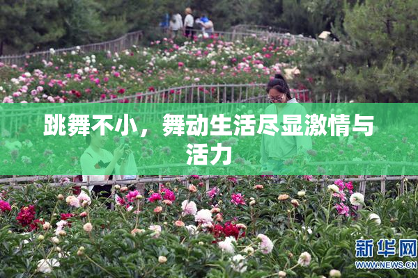 跳舞不小，舞动生活尽显激情与活力