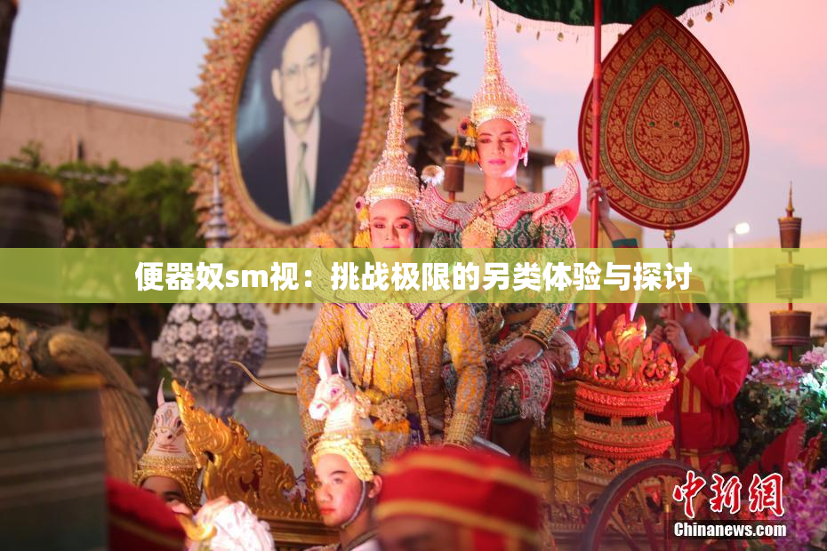 便器奴sm视：挑战极限的另类体验与探讨