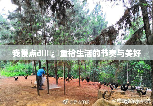 我慢点🌿‌重拾生活的节奏与美好