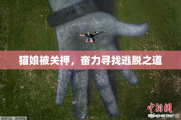 猫娘被关押，奋力寻找逃脱之道