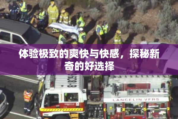 体验极致的爽快与快感，探秘新奇的好选择