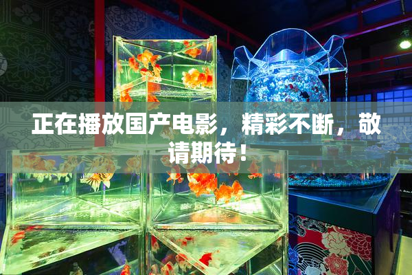正在播放国产电影，精彩不断，敬请期待！