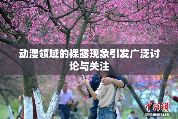 动漫领域的裸露现象引发广泛讨论与关注