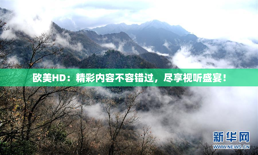 欧美HD：精彩内容不容错过，尽享视听盛宴！