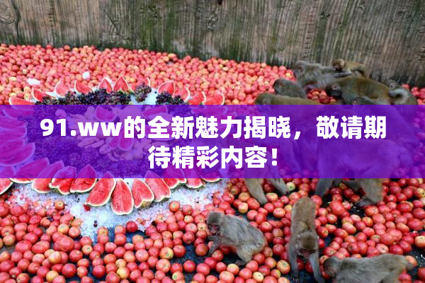 91.ww的全新魅力揭晓，敬请期待精彩内容！