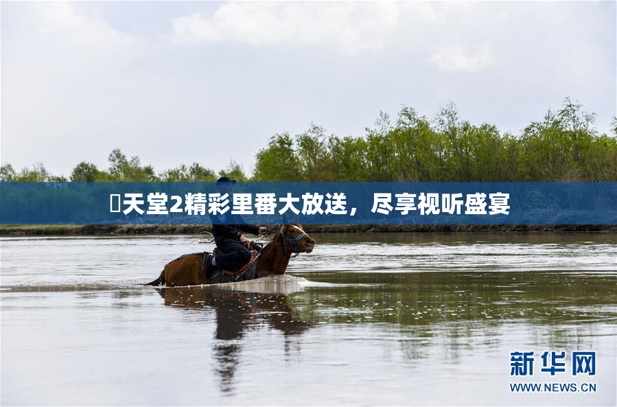 妺天堂2精彩里番大放送，尽享视听盛宴