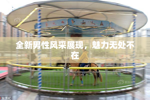 全新男性风采展现，魅力无处不在