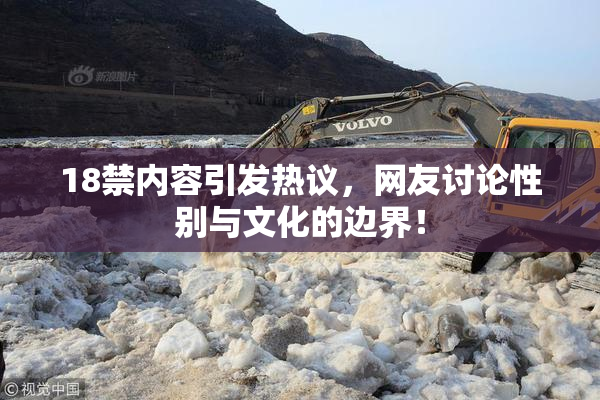 18禁内容引发热议，网友讨论性别与文化的边界！