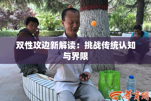 双性攻边新解读：挑战传统认知与界限