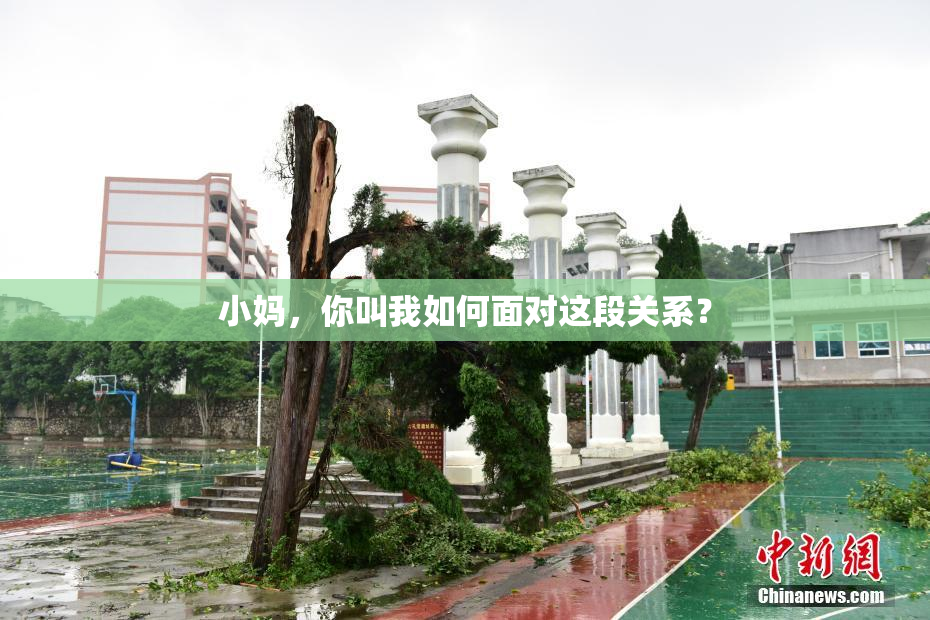 小妈，你叫我如何面对这段关系？