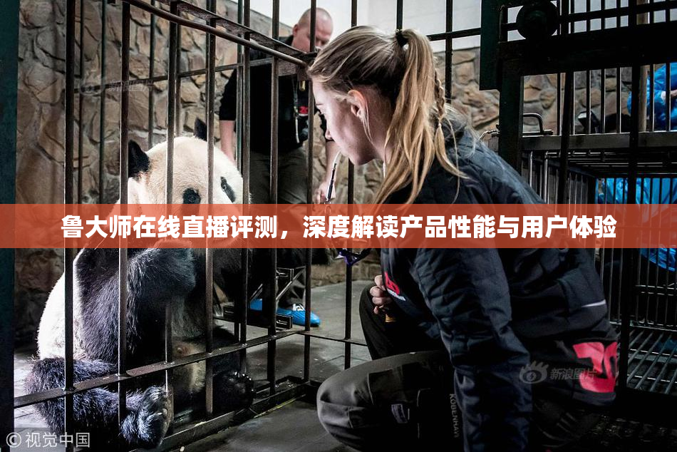 鲁大师在线直播评测，深度解读产品性能与用户体验