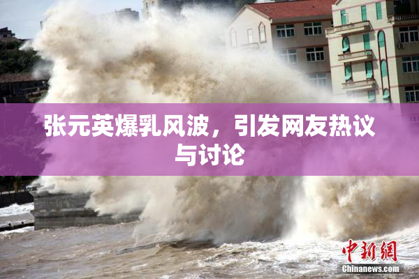 张元英爆乳风波，引发网友热议与讨论