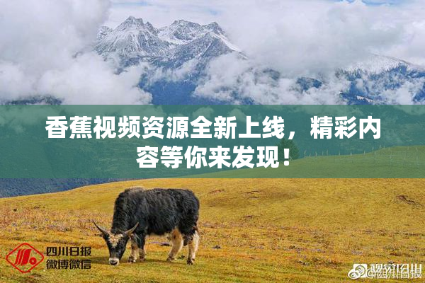 香蕉视频资源全新上线，精彩内容等你来发现！