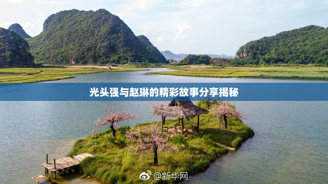 光头强与赵琳的精彩故事分享揭秘