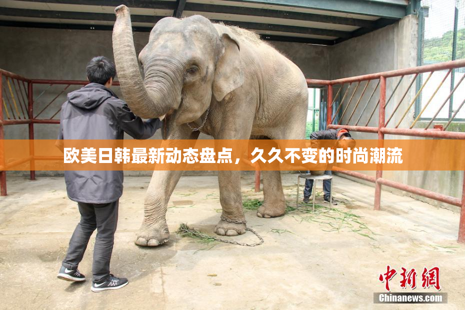 欧美日韩最新动态盘点，久久不变的时尚潮流