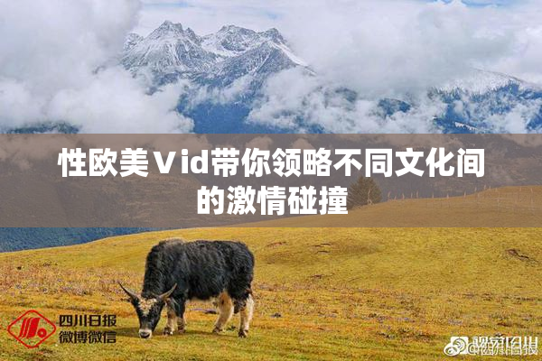 性欧美Ⅴid带你领略不同文化间的激情碰撞