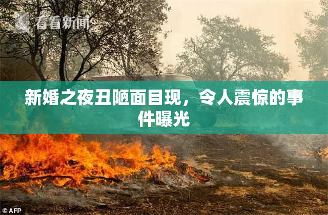新婚之夜丑陋面目现，令人震惊的事件曝光