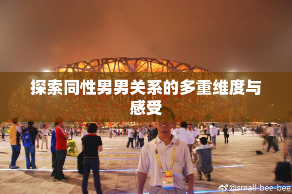 探索同性男男关系的多重维度与感受